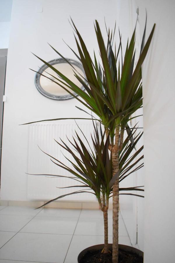 4Seasons Apartment Thebes Luaran gambar